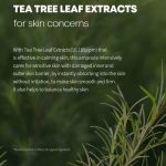 Farmstay Tea Tree Biome Calming Ampoule 50ml - Image 4