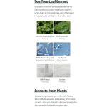Farmstay Tea Tree Biome Calming Cream 80ml - Image 4